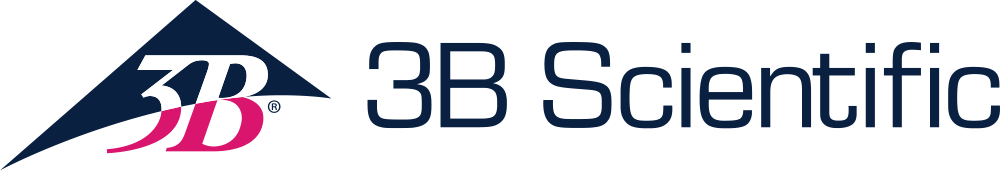 3B